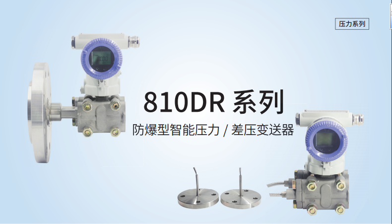 810DR 系列 防爆型智能压力 / 差压变送器