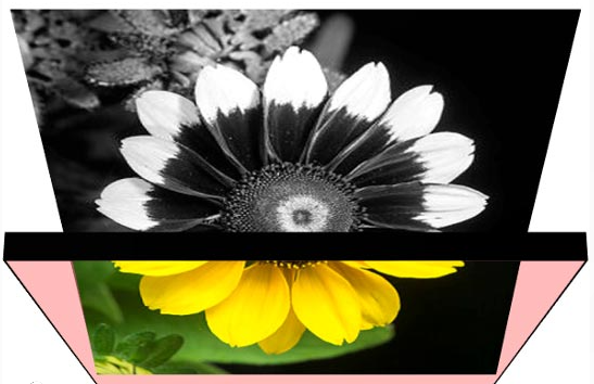 剑桥大学研究人员创造出可以看到不可见红外光的低成本传感器