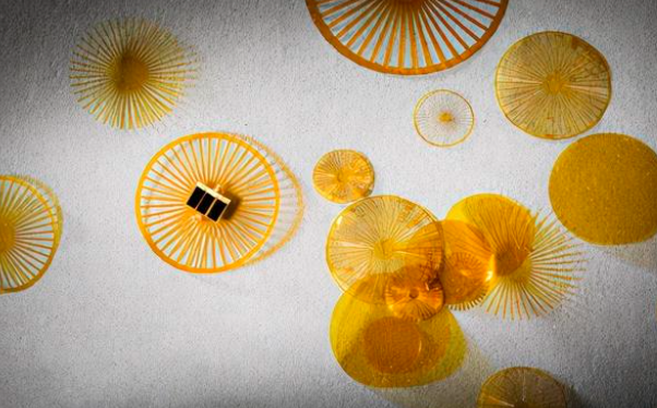 受蒲公英传播种子启发，微型无电池传感装置可随风飘浮